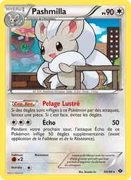 Pashmilla 85/99