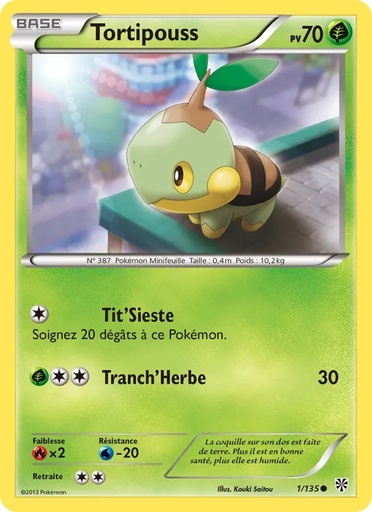 Tortipouss 1/135