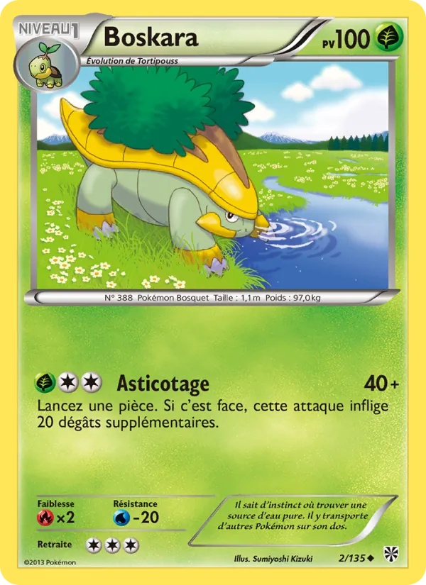 Boskara 2/135 - Tempète Plasma - Pokémon JCC