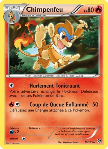 Chimpenfeu 16/135