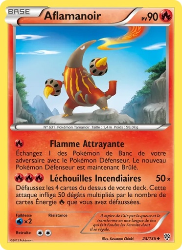 Aflamanoir 23/135