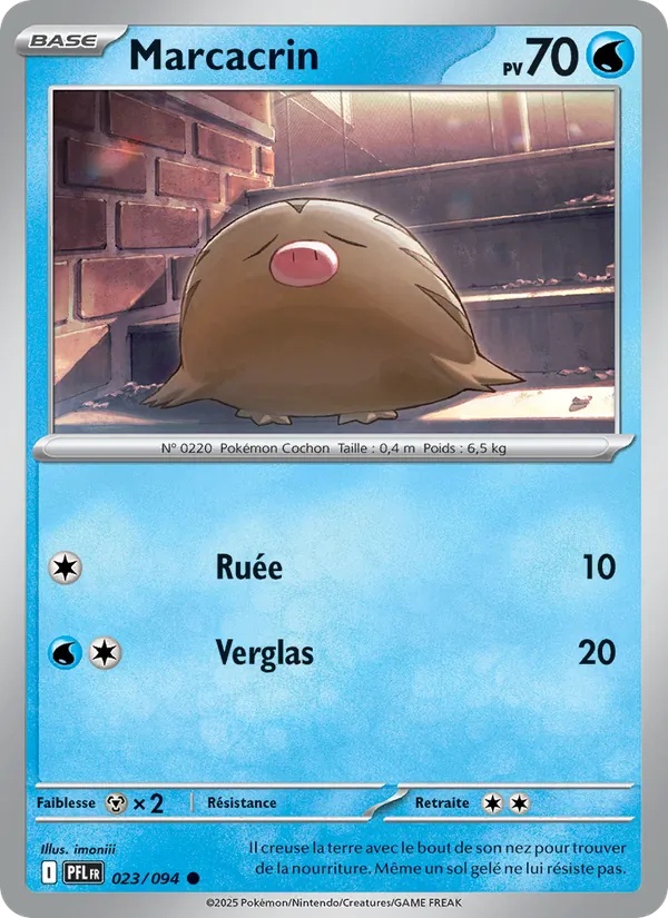 Marcacrin 023/94 - Flammes Fantasmagoriques - Reverse - Pokémon JCC