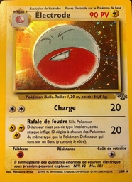 Électrode 2/64 Holo