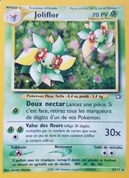 Joliflor 3/111 Holo