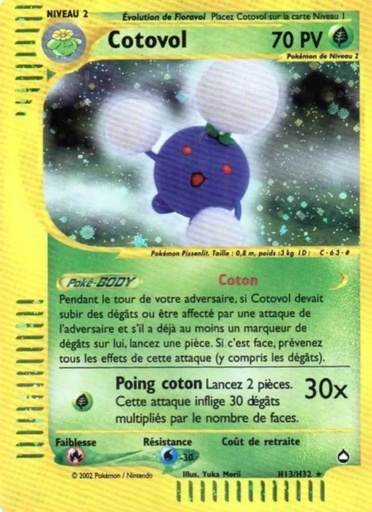 Cotovol H13/147 Holo