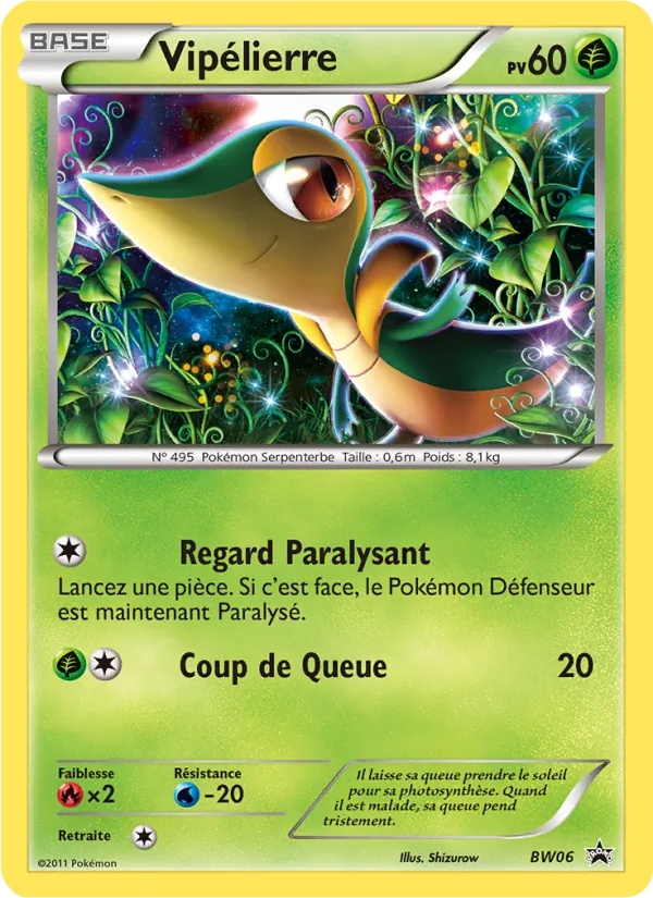 Vipélierre BW06/101 - Promo BW - Pokémon JCC