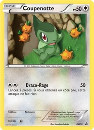 Coupenotte BW16/101