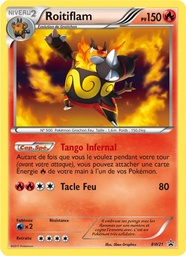 Roitiflam BW21/101