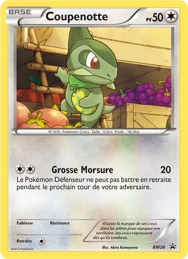 Coupenotte BW26/101 - Promo BW - Pokémon JCC