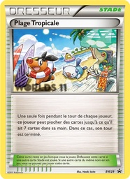 Plage Tropicale BW28/101