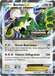 Boréas ex BW96/101 - Promo BW - Pokémon JCC