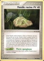 Fossile racine 86/108 Logo de la série