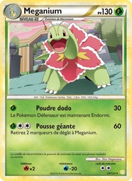 Méganium 26/123 Holo