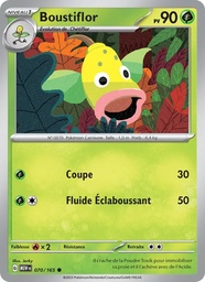 Boustiflor 070/165 Reverse