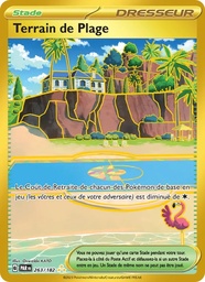 Terrain de Plage 263/182 Holo