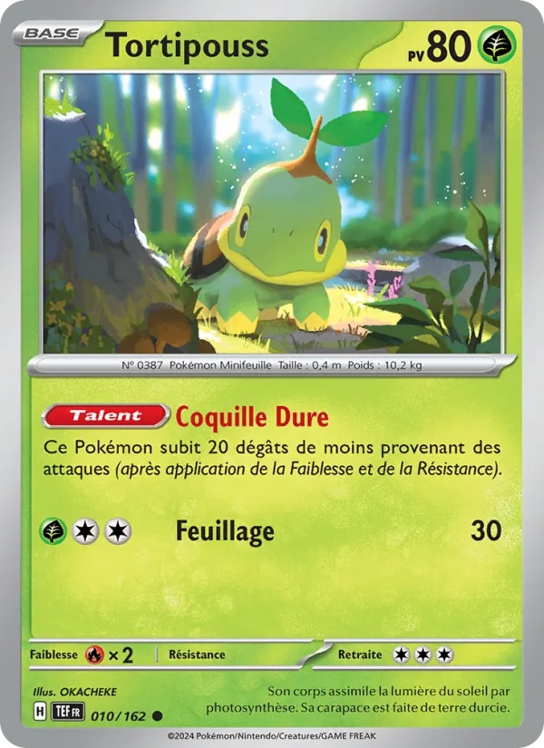 Tortipouss 010/162 - Forces Temporelles - Reverse - Pokémon JCC