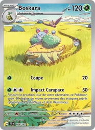 Boskara 164/162 Holo