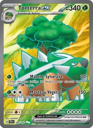 Torterra-ex 185/162 Holo