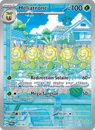 Héliatronc 169/167 Holo