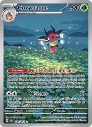 Coxyclaque 144/142 Holo