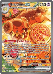 Briochien-ex 169/142 Holo