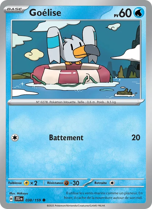 Goélise 038/159 - Aventures Ensemble - Reverse - Pokémon JCC