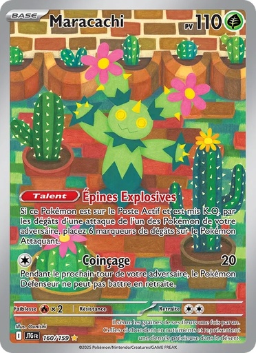 Maracachi 160/159 Holo