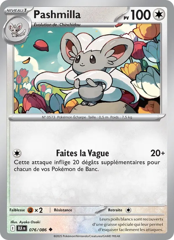 Pashmilla 076/86 Reverse