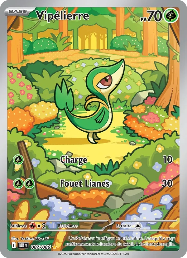 Vipélierre 087/86 - Foudre Noire - Holo - Pokémon JCC