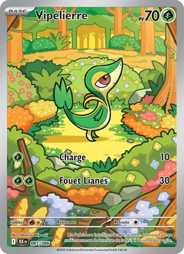Vipélierre 087/86 Holo