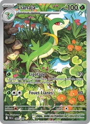 Lianaja 088/86 Holo