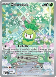 Chlorobule 091/86 Holo