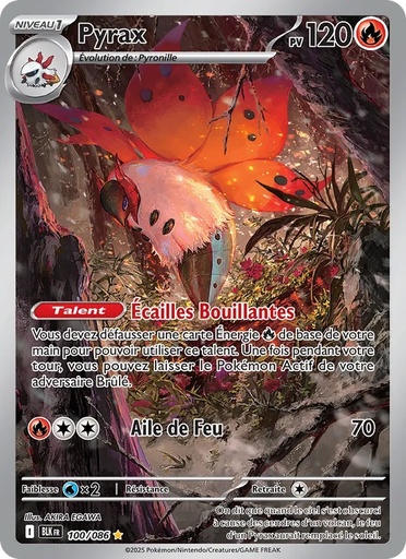 Pyrax 100/86 Holo