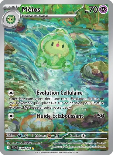 Méios 119/86 Holo
