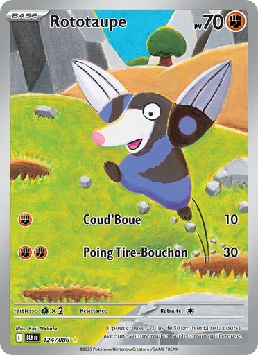 Rototaupe 124/86 Holo