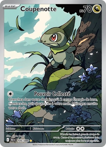 Coupenotte 145/86 Holo
