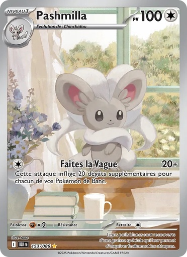 Pashmilla 153/86 Holo