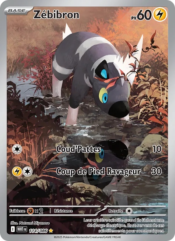 Zébibron 114/86 - Flamme Blanche - Holo - Pokémon JCC