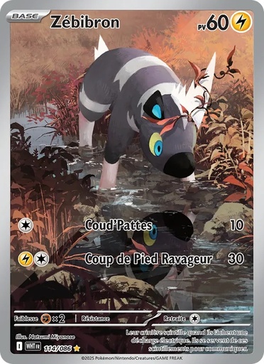 Zébibron 114/86 Holo