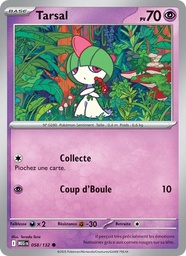 Tarsal 058/132 Holo