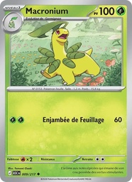 Macronium 009/217 - Héros Transcendants - Pokémon JCC