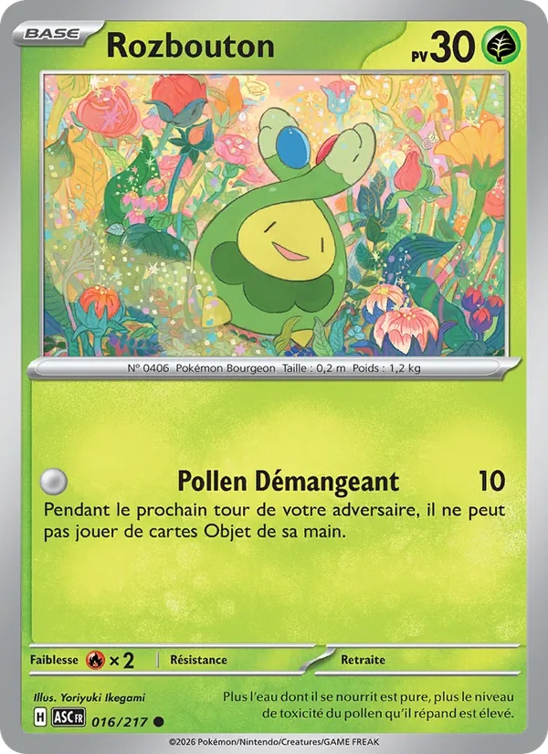 Rozbouton 016/217