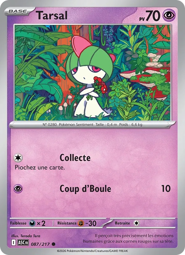 Tarsal 087/217