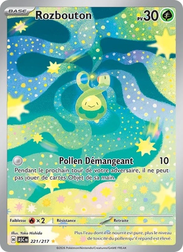 Rozbouton 221/217 Holo