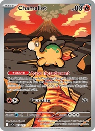 Chamallot 223/217 Holo