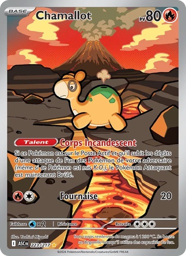 Chamallot 223/217 Holo