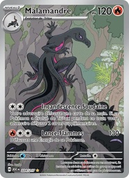 Malamandre 224/217 Holo
