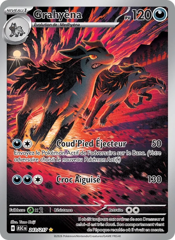 Grahyèna 243/217 - Héros Transcendants - Holo - Pokémon JCC