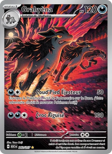 Grahyèna 243/217 Holo