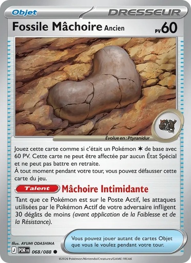 Fossile Mâchoire Ancien 068/88